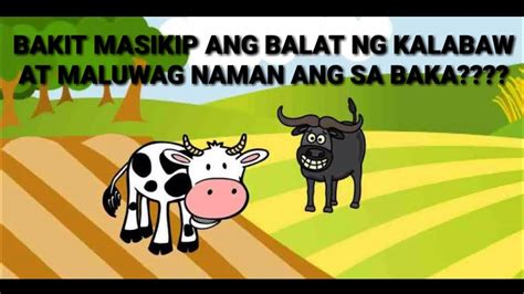 masikip na puday|Ang alamat ng puday ni kikay .